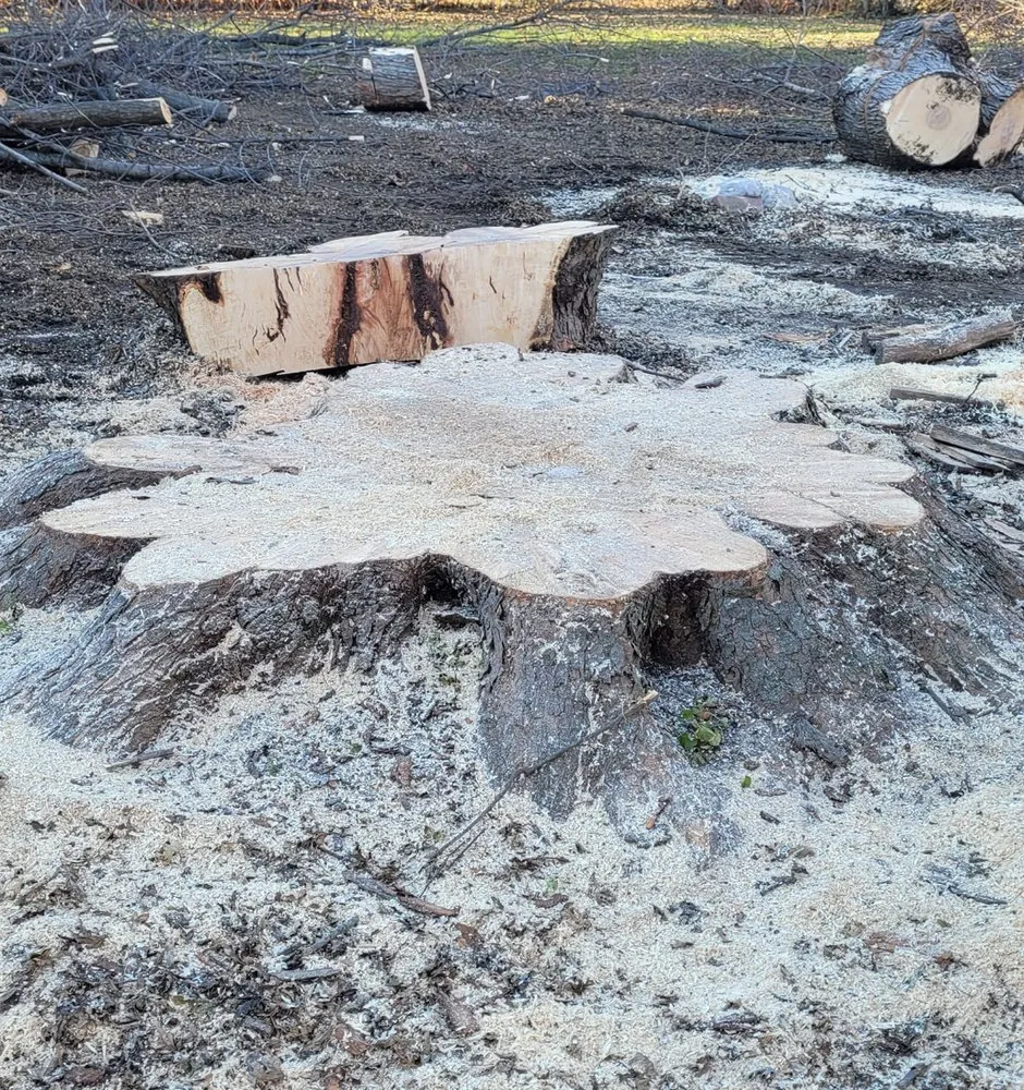 Trusted lawn mowing service near you in Wood River, IL by Baum Outdoor Services