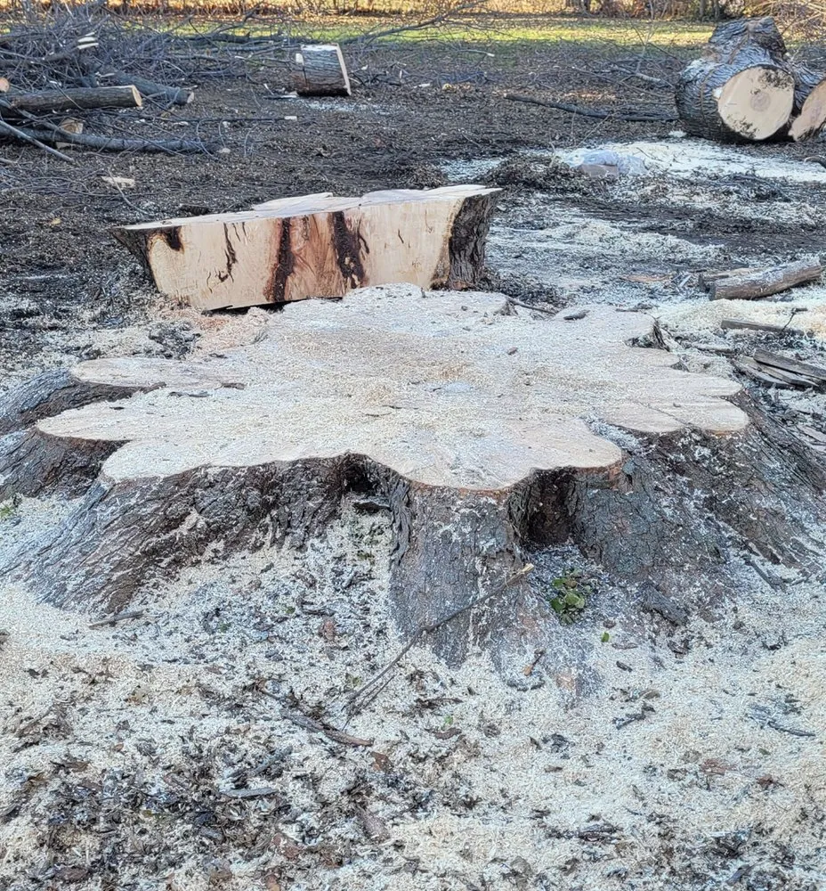 Affordable residential landscaping for beautiful yards in Wood River, IL by Baum Outdoor Services