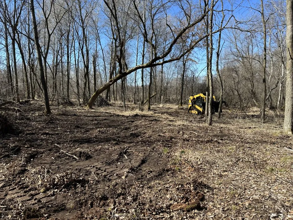 Affordable landscape design in Seymour, WI by Bauman Grading and Landscaping