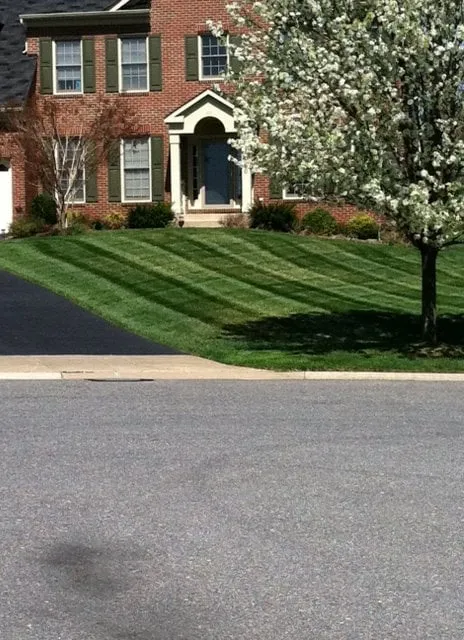 Expert landscape design for outdoor upgrades in Silver Spring, MD by Baumann's Lawn & Landscape
