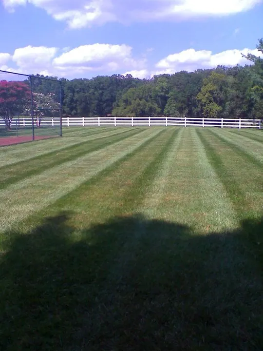 Affordable lawn mowing service for outdoor upgrades in Silver Spring, MD by Baumann's Lawn & Landscape