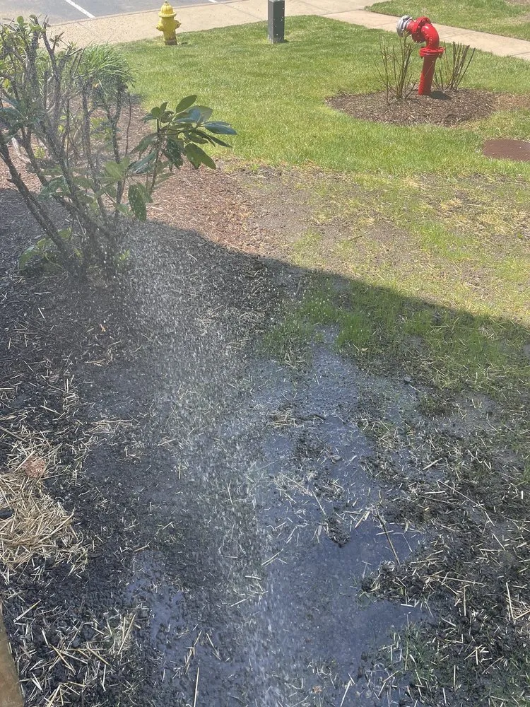 Expert landscaping services experts serving Ledyard, CT - Bauman's Lawn Care