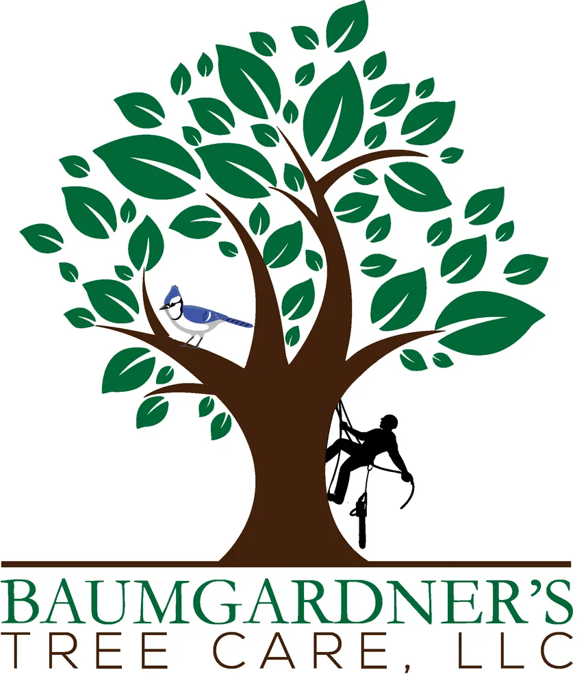 Affordable garden landscaping experts serving Spotsylvania Courthouse, VA - Baumgardner's Tree Care