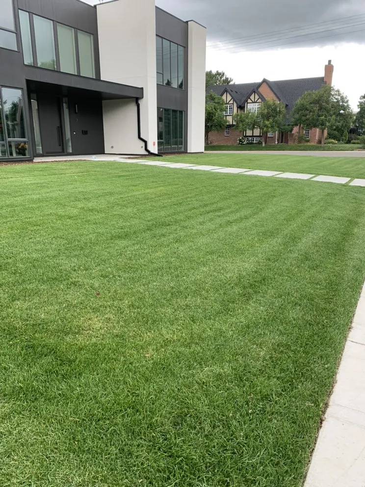 Top-rated landscape installation near you in College Station, TX by Baumgartner Lawn Services