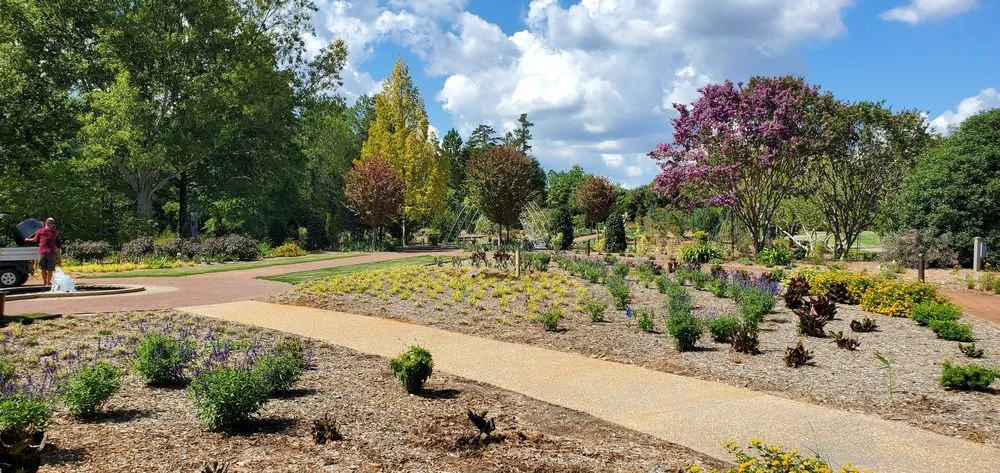 Custom landscape installation in Conway, SC by Bautista Construction