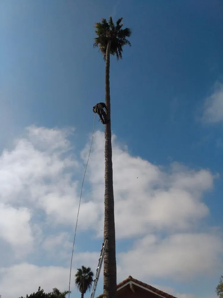 Expert landscape installation experts serving Pauma Valley, CA - Bautista Gardening Service