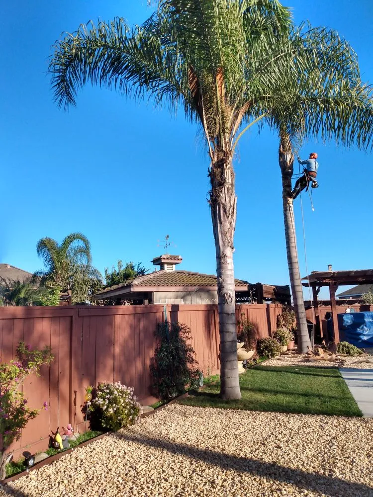 Local landscape installation in Pauma Valley, CA by Bautista Gardening Service