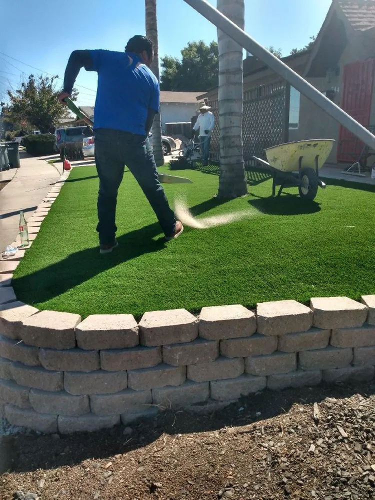 Top-rated yard cleanup service in Pauma Valley, CA by Bautista Gardening Service