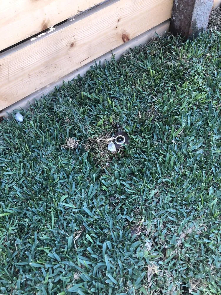 Expert landscape installation in Pauma Valley, CA by Bautista Gardening Service