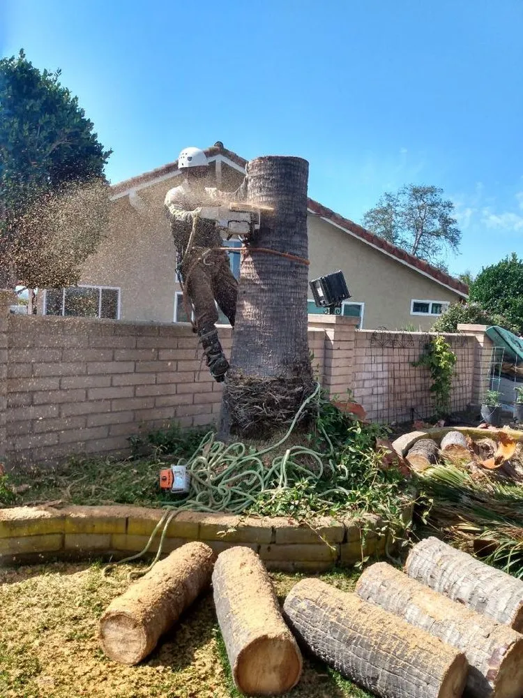 Affordable garden landscaping in Pauma Valley, CA by Bautista Gardening Service