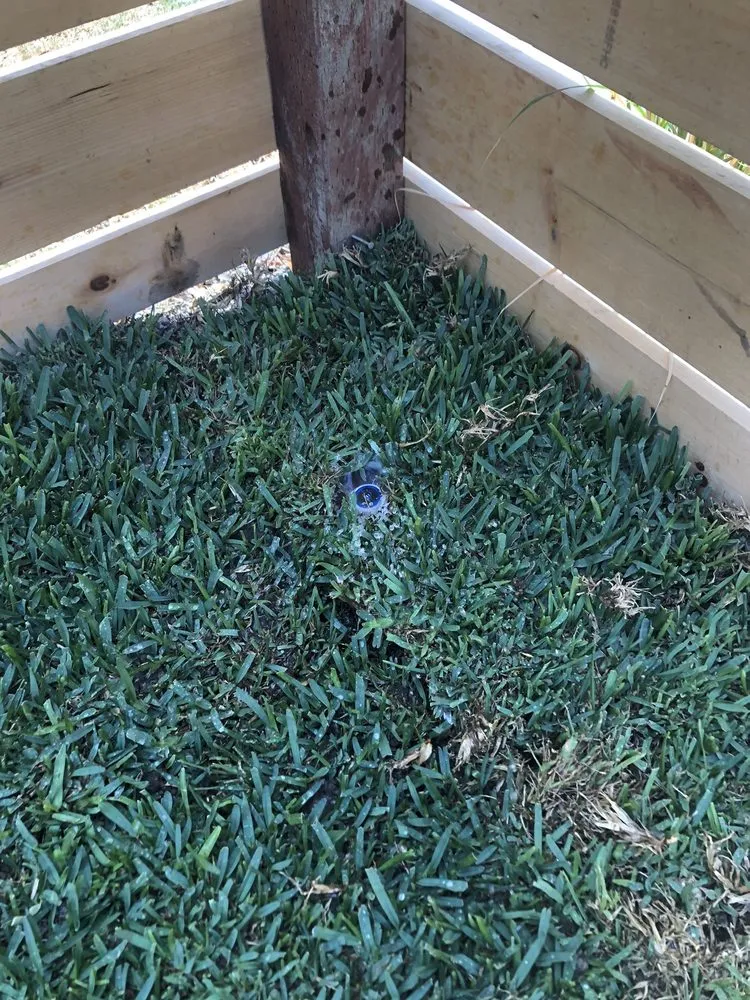Trusted yard cleanup service in Pauma Valley, CA - Bautista Gardening Service