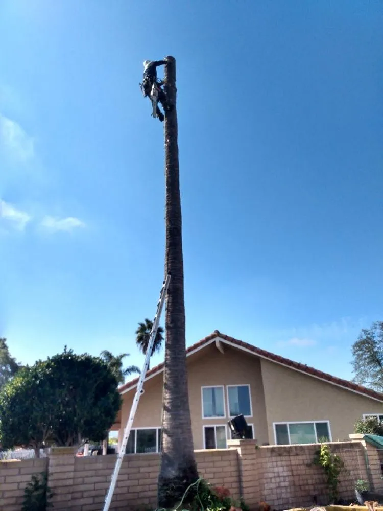Trusted outdoor landscaping in Pauma Valley, CA by Bautista Gardening Service