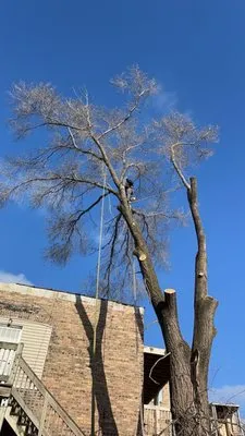 Bautista Landscape & Design Logo