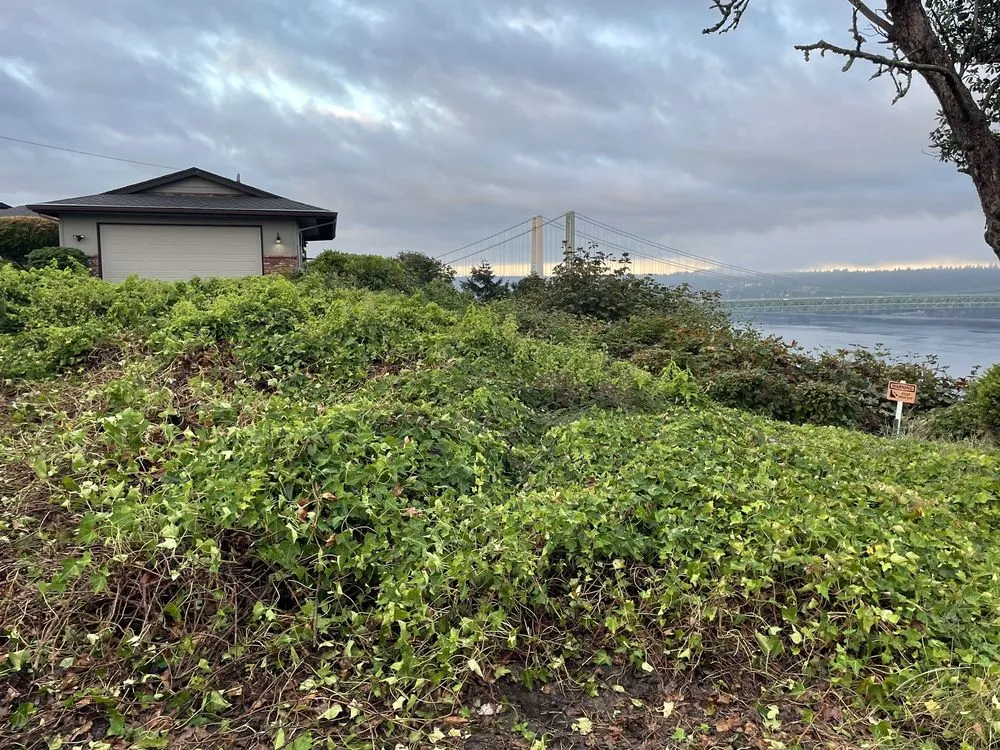 Top-rated lawn mowing service for homes across Bremerton, WA - Bautista Landscaping