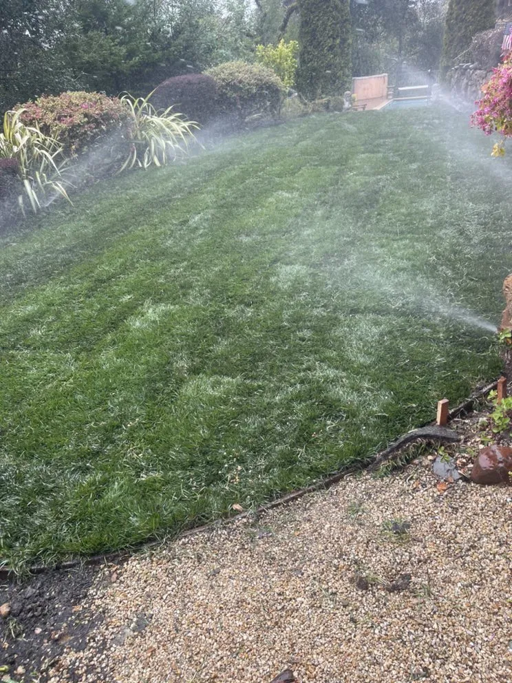 Trusted garden landscaping for beautiful yards across Concord, CA - Bautista Landscaping