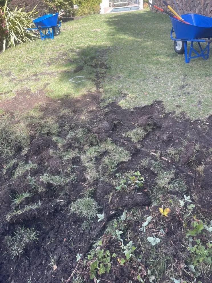 Top-rated residential landscaping for outdoor upgrades across Concord, CA - Bautista Landscaping