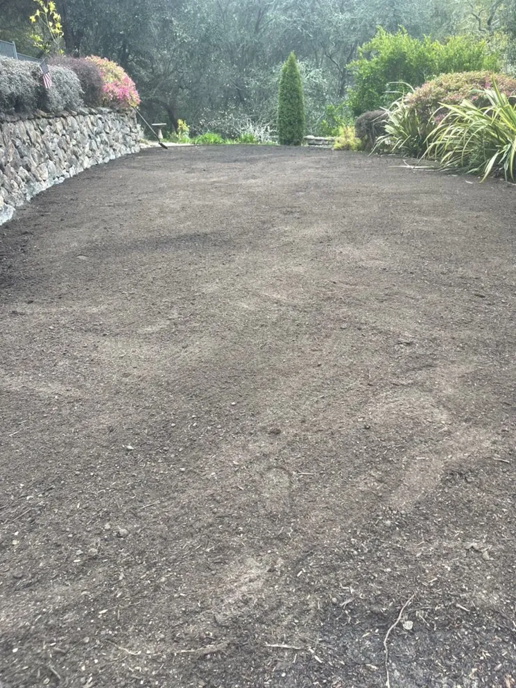 Expert yard cleanup service in Concord, CA by Bautista Landscaping