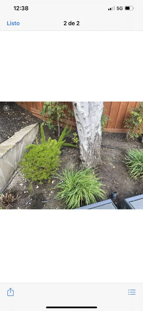 Affordable landscaping services for year-round maintenance in Concord, CA by Bautista Landscaping