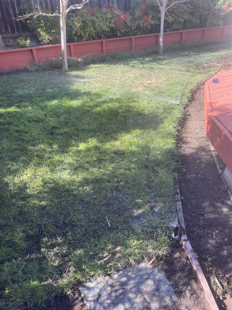 Top-rated residential landscaping for beautiful yards across Concord, CA - Bautista Landscaping