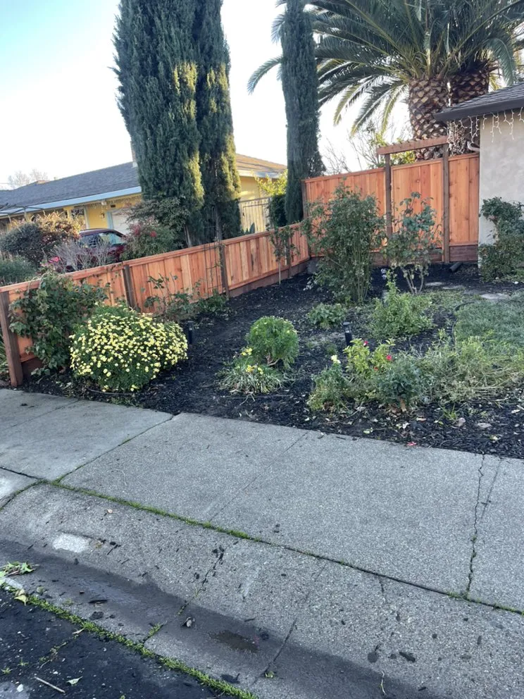 Professional outdoor landscaping experts serving Concord, CA - Bautista Landscaping
