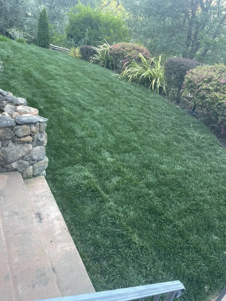 Expert outdoor landscaping for beautiful yards across Concord, CA - Bautista Landscaping