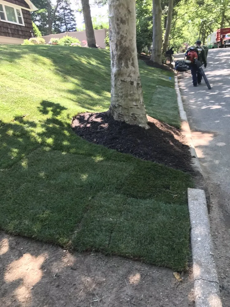 Top-rated yard maintenance experts serving Huntington Station, NY - Bautista Landscaping