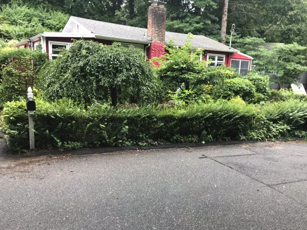 Reliable yard maintenance for year-round maintenance across Huntington Station, NY - Bautista Landscaping