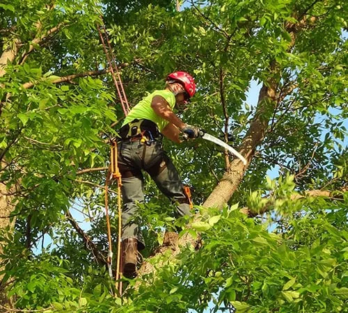 Trusted lawn mowing service in Huntington Station, NY - Bautista Landscaping