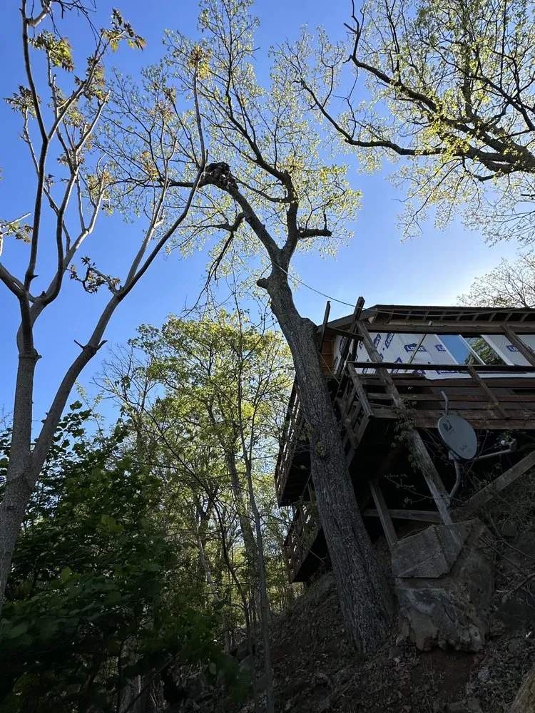 Top-rated landscape design in Sterling, VA by Bautista Landscaping