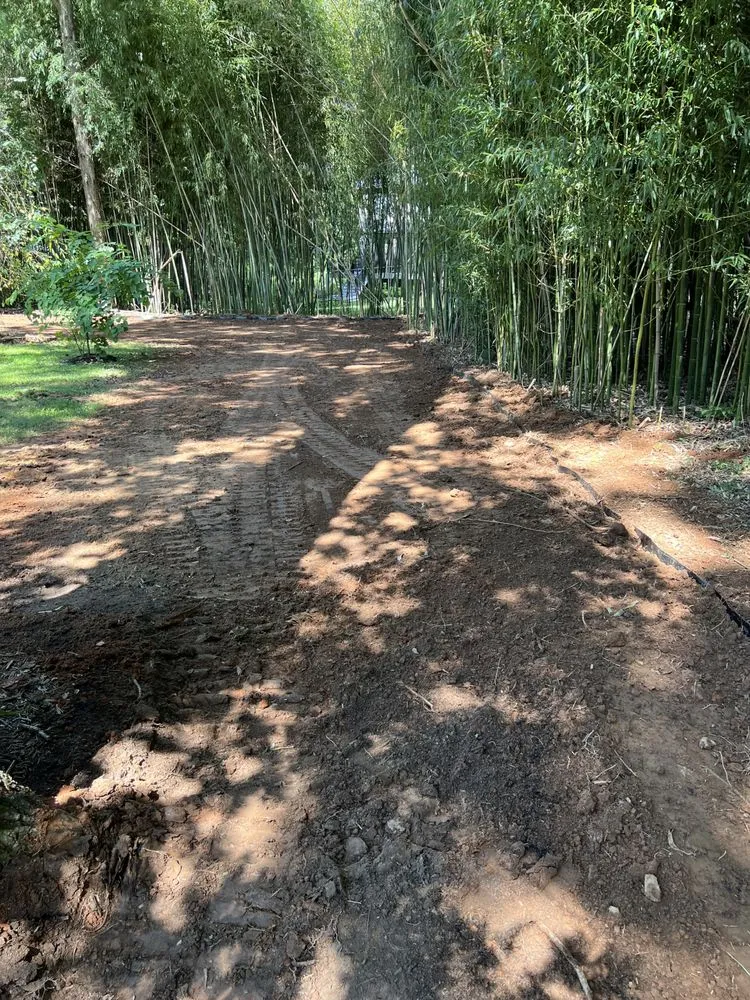 Custom landscaping services for beautiful yards across Sterling, VA - Bautista Landscaping