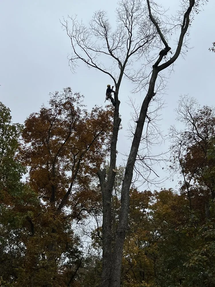 Professional landscape design experts serving Sterling, VA - Bautista Landscaping