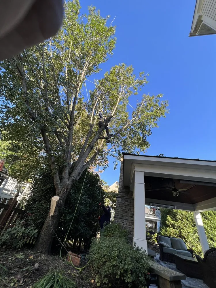 Custom outdoor landscaping in Sterling, VA - Bautista Landscaping