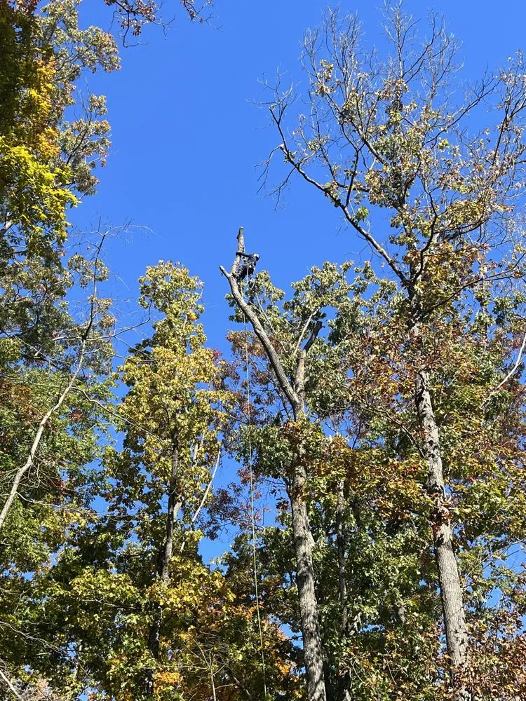 Top-rated outdoor landscaping in Sterling, VA by Bautista Landscaping