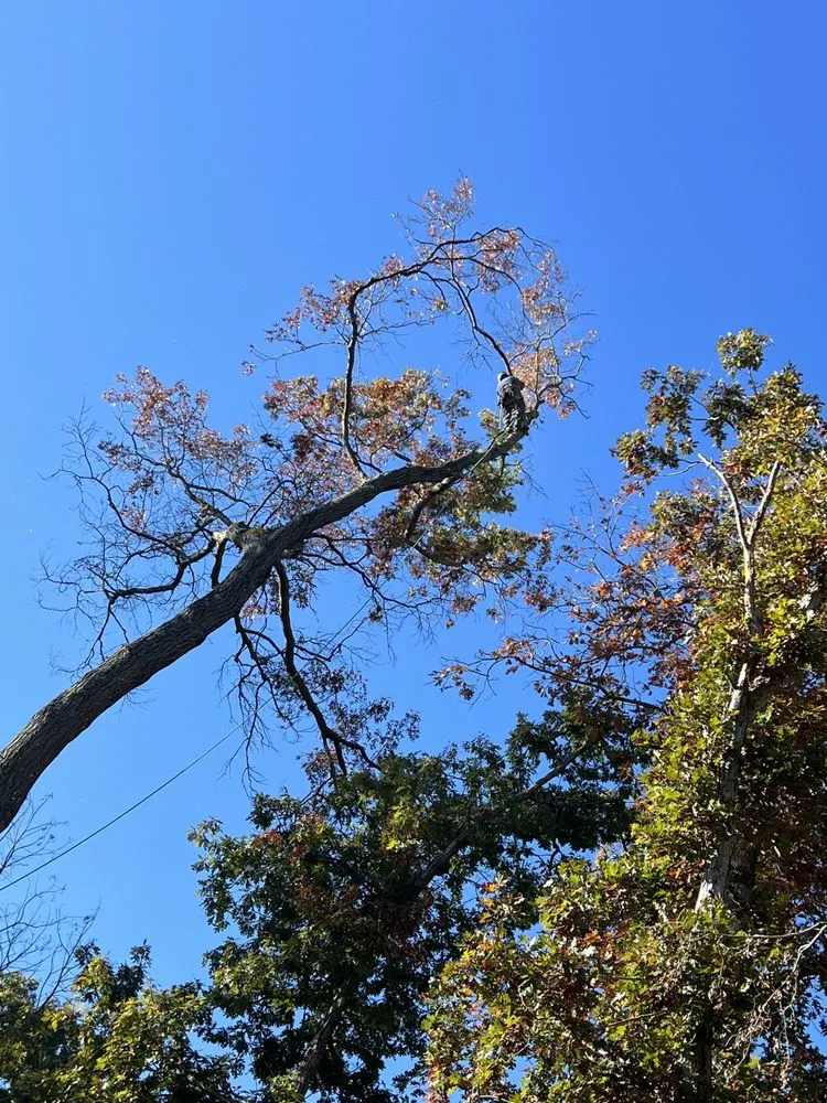 Professional garden landscaping for residential properties in Sterling, VA by Bautista Landscaping