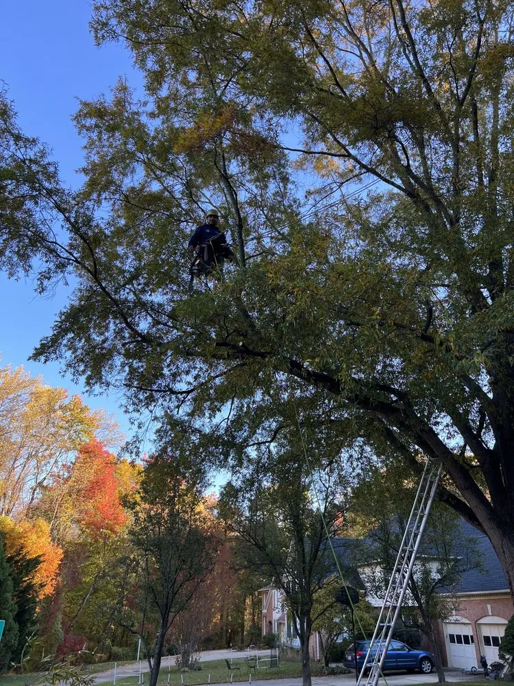 Custom lawn mowing service for residential properties across Sterling, VA - Bautista Landscaping