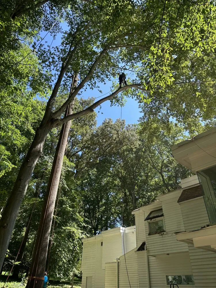 Custom lawn care service in Sterling, VA - Bautista Landscaping