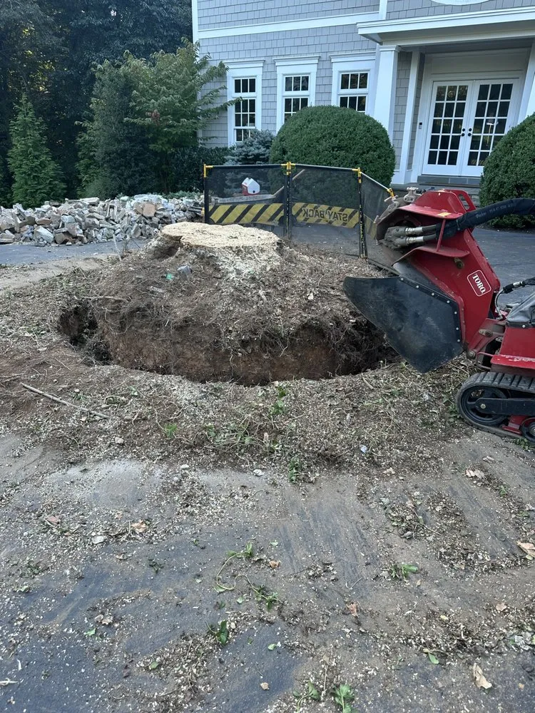 Top-rated residential landscaping experts serving Sterling, VA - Bautista Landscaping