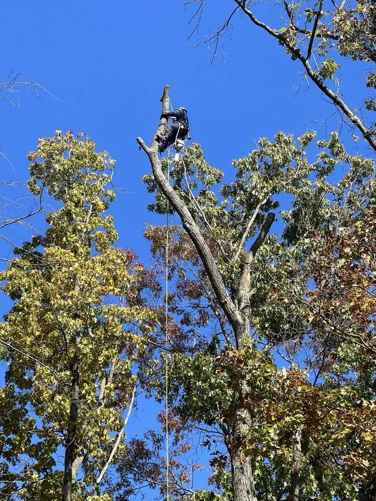 Top-rated residential landscaping in Sterling, VA by Bautista Landscaping