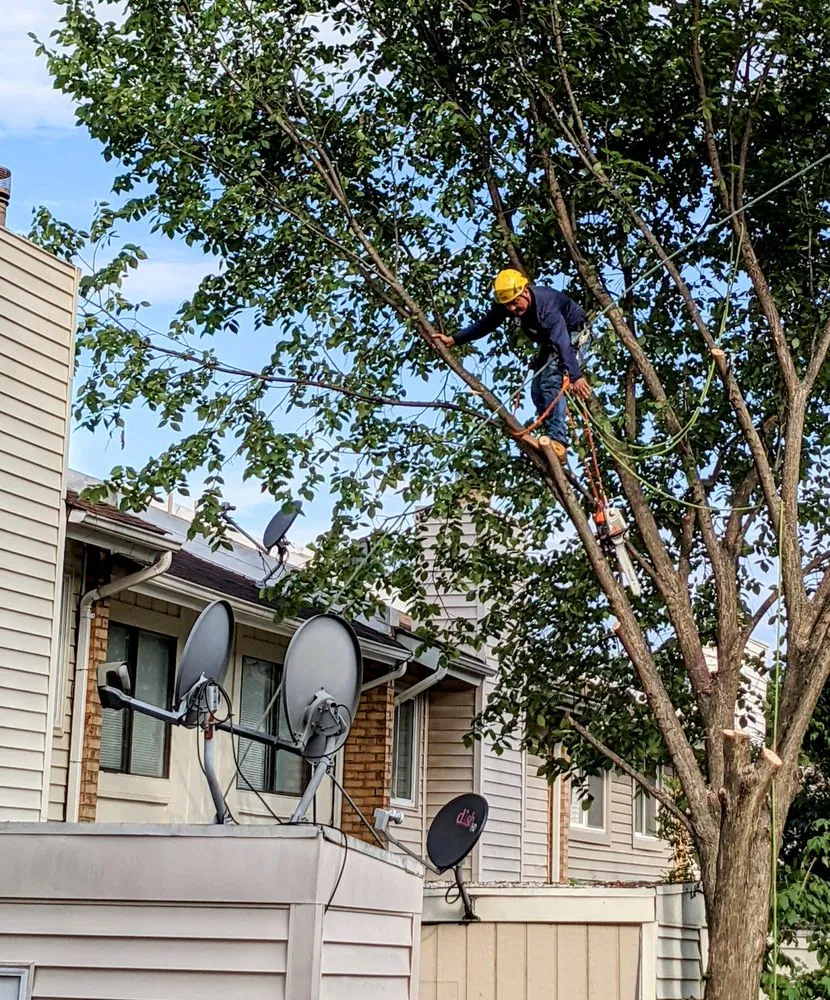 Local garden landscaping in Sterling, VA by Bautista Landscaping