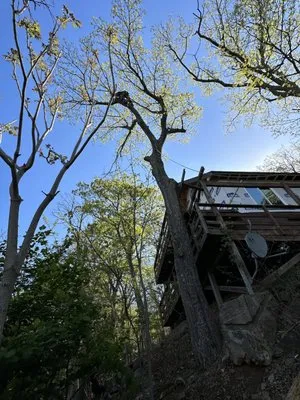 Bautista Landscaping