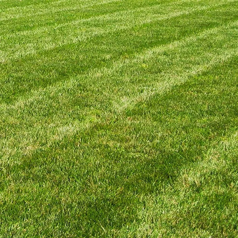 Reliable landscape installation for outdoor upgrades in China Grove, NC by Bautista Lawn Care