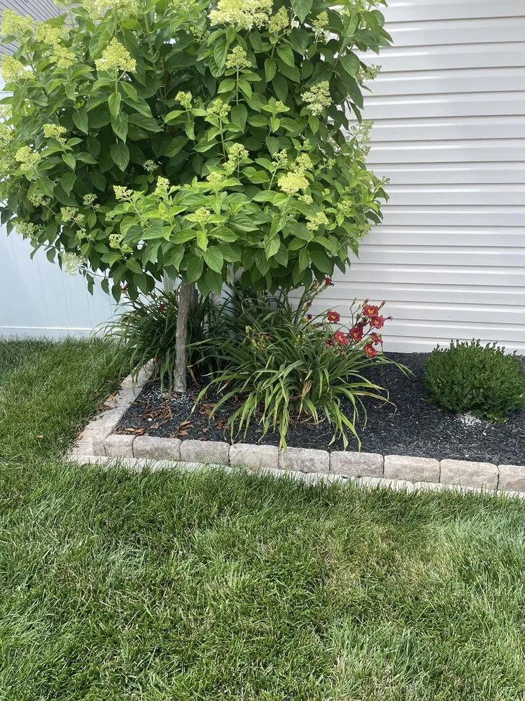 Top-rated lawn mowing service experts serving Chesterfield, MO - Baxter Gardens of Chesterfield