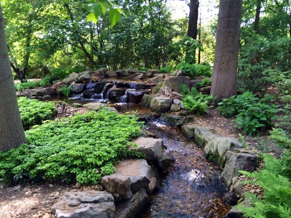 Professional yard maintenance in Chesterfield, MO - Baxter Gardens of Chesterfield