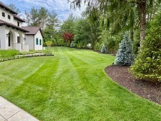Professional yard cleanup service experts serving Ofallon, MO - Baxter Gardens West