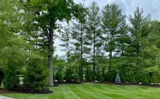 Professional yard cleanup service near you in Ofallon, MO by Baxter Gardens West