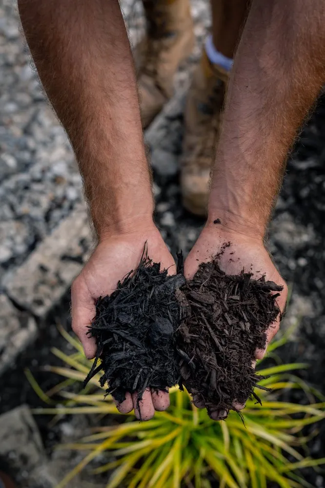 Trusted residential landscaping for residential properties in Ofallon, MO by Baxter Gardens West