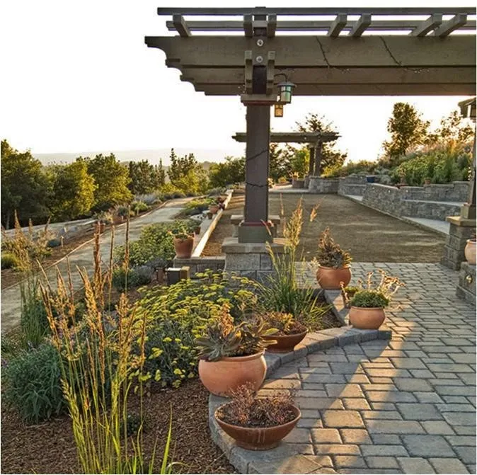 Top-rated yard cleanup service for residential properties in Scotts Valley, CA by Baxter Landscaping