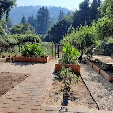 Professional yard maintenance for beautiful yards in Scotts Valley, CA by Baxter Landscaping