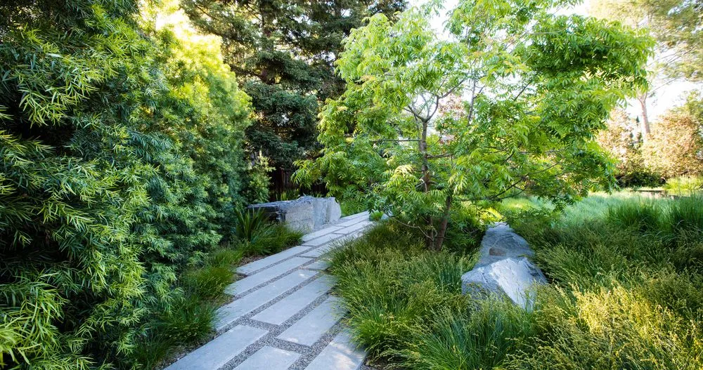 Local yard cleanup service for homes across Scotts Valley, CA - Baxter Landscaping