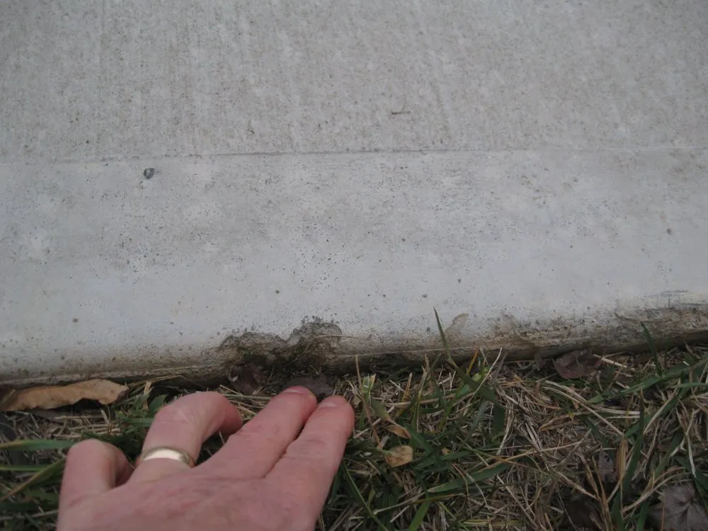Professional lawn care service in Whitsett, NC - Baxter Lawn Care Management
